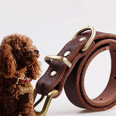 Cowhide Pet Collar for Small Medium Dogs