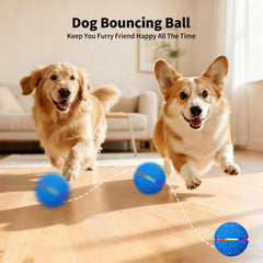 Interactive Smart Moving Bouncing Dog Ball with Lights