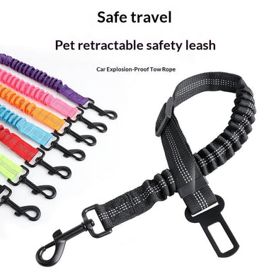 Retractable Shock-Absorbing Extendable Pet Leash for Dogs