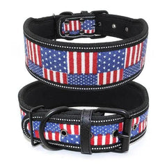 Reflective Adjustable Dog Collar with Buckle Multiple Colors