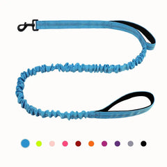 Multi-Functional Anti-Pull Dog Leash for Large Breeds