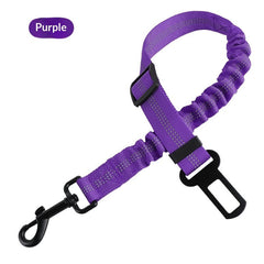 Retractable Shock-Absorbing Extendable Pet Leash for Dogs