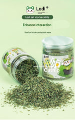 Cat Grass Leaves Treats and Teaser Toy