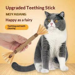 Pet Supplies Cat Toy Gift Set for Cats