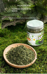 Cat Grass Leaves Treats and Teaser Toy