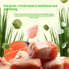 Freeze-Dried Hairball Remedy Cat Treats Daily Snacks