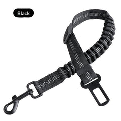 Retractable Shock-Absorbing Extendable Pet Leash for Dogs