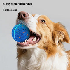 Interactive Smart Moving Bouncing Dog Ball with Lights