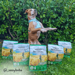 Zen Vegetarian Dry Dog Food Complete Nutrition Formula