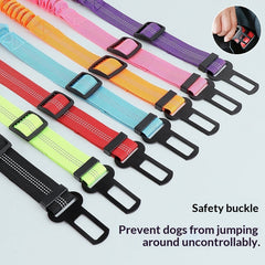 Retractable Shock-Absorbing Extendable Pet Leash for Dogs