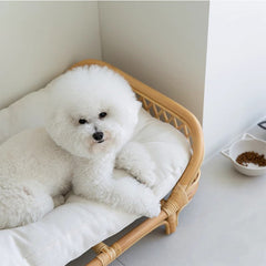 Rattan Dog Bed Kennel for Small Medium Dogs