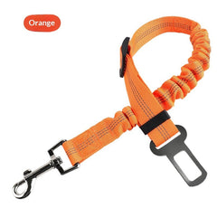 Retractable Shock-Absorbing Extendable Pet Leash for Dogs