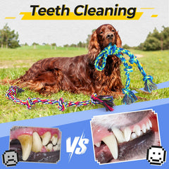 Tough Rope Dog Toys for Aggressive Chewers Tugging