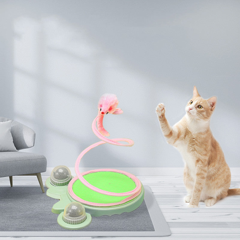 Cat Spring Coil Toy for Independent Interactive Play