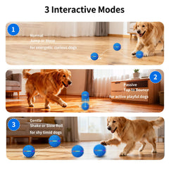 Interactive Smart Moving Bouncing Dog Ball with Lights