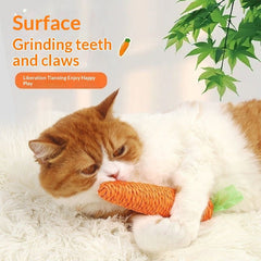 Pet Supplies Cat Toy Gift Set for Cats