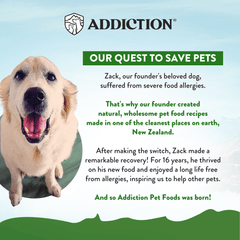 Zen Vegetarian Dry Dog Food Complete Nutrition Formula