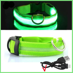 USB Rechargeable LED Pet Dog Safety Collar Bright