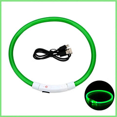 USB Rechargeable LED Pet Dog Safety Collar Bright