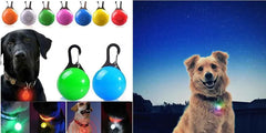 USB Rechargeable LED Pet Dog Safety Collar Bright
