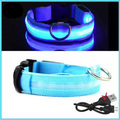 USB Rechargeable LED Pet Dog Safety Collar Bright