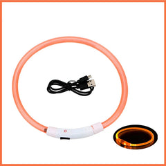 USB Rechargeable LED Pet Dog Safety Collar Bright