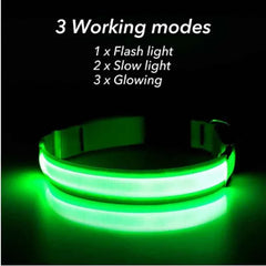 USB Rechargeable LED Pet Dog Safety Collar Bright
