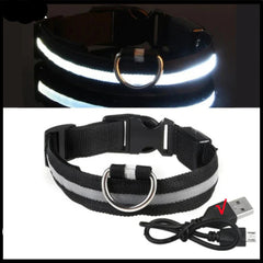 USB Rechargeable LED Pet Dog Safety Collar Bright