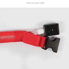 USB Rechargeable LED Pet Dog Safety Collar Bright