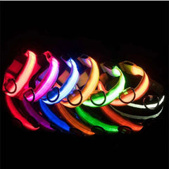 USB Rechargeable LED Pet Dog Safety Collar Bright