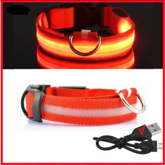 USB Rechargeable LED Pet Dog Safety Collar Bright