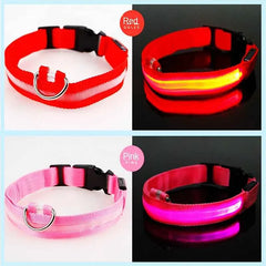 USB Rechargeable LED Pet Dog Safety Collar Bright