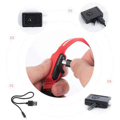 USB Rechargeable LED Pet Dog Safety Collar Bright