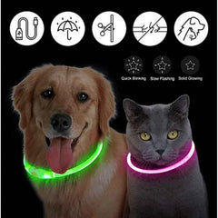 USB Rechargeable LED Pet Dog Safety Collar Bright