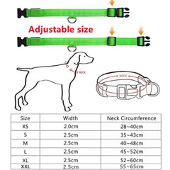 USB Rechargeable LED Pet Dog Safety Collar Bright