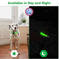 USB Rechargeable LED Pet Dog Safety Collar Bright