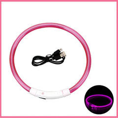 USB Rechargeable LED Pet Dog Safety Collar Bright