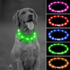 USB Rechargeable LED Pet Dog Safety Collar Bright