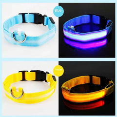 USB Rechargeable LED Pet Dog Safety Collar Bright
