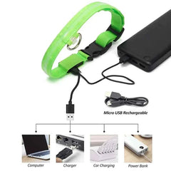 USB Rechargeable LED Pet Dog Safety Collar Bright