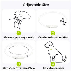 USB Rechargeable LED Pet Dog Safety Collar Bright