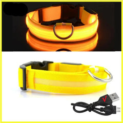 USB Rechargeable LED Pet Dog Safety Collar Bright