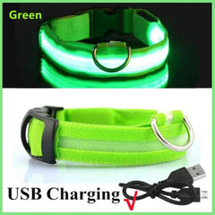 USB Rechargeable LED Pet Dog Safety Collar Bright
