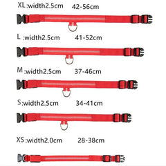 USB Rechargeable LED Pet Dog Safety Collar Bright