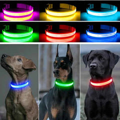 USB Rechargeable LED Pet Dog Safety Collar Bright