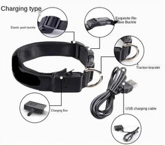 USB Rechargeable LED Pet Dog Safety Collar Bright