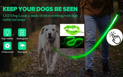 USB Rechargeable LED Pet Dog Safety Collar Bright