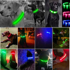 USB Rechargeable LED Pet Dog Safety Collar Bright