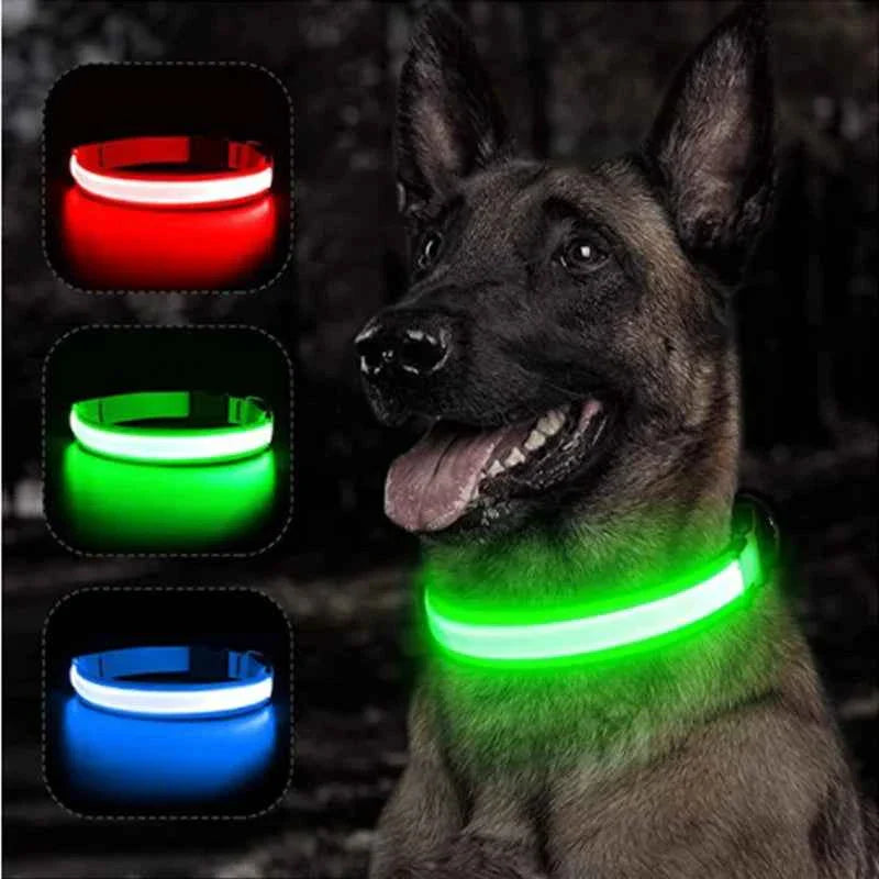 USB Rechargeable LED Pet Dog Safety Collar Bright