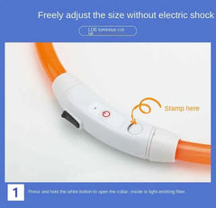 USB Rechargeable LED Pet Dog Safety Collar Bright